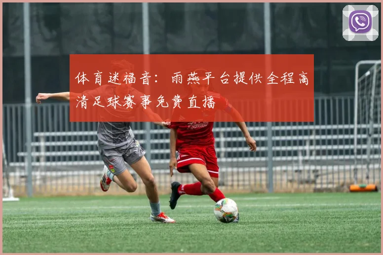 体育迷福音：雨燕平台提供全程高清足球赛事免费直播